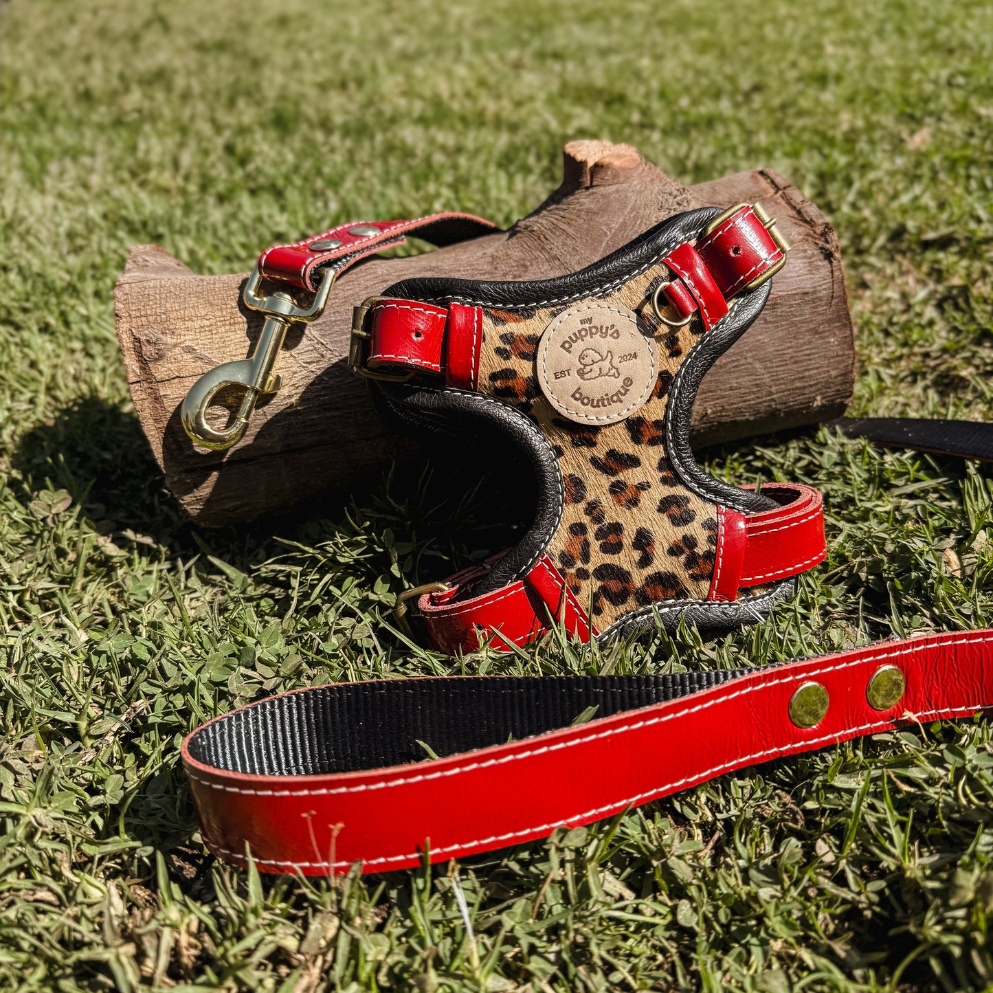 ARNÉS SAFARI CHIC