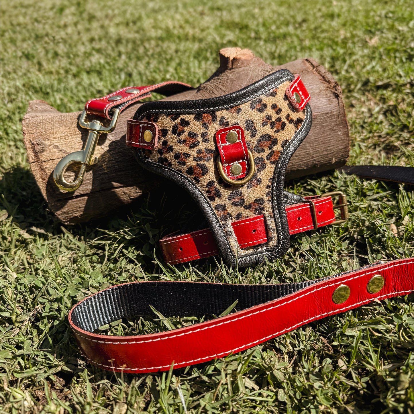 ARNÉS SAFARI CHIC