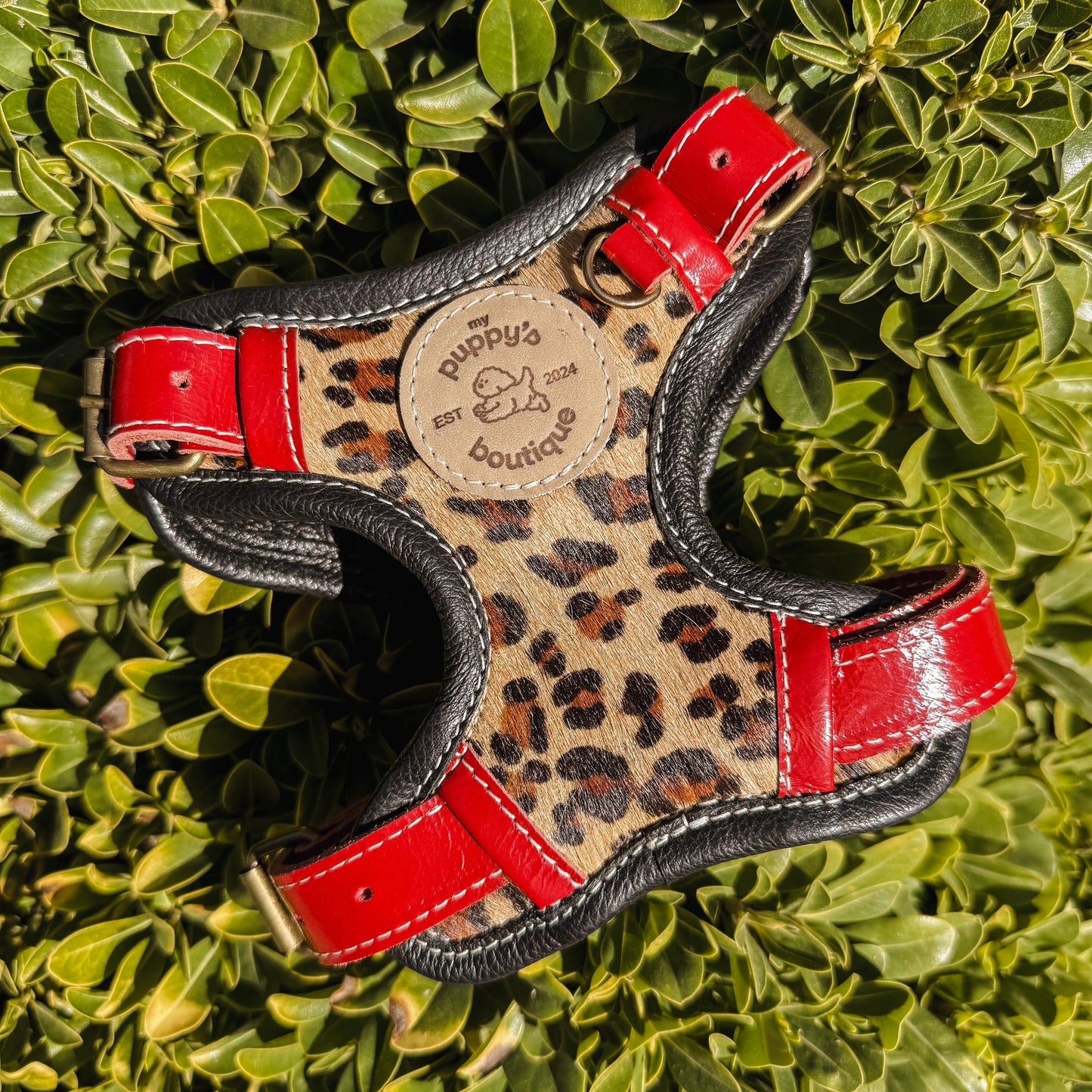 ARNÉS SAFARI CHIC