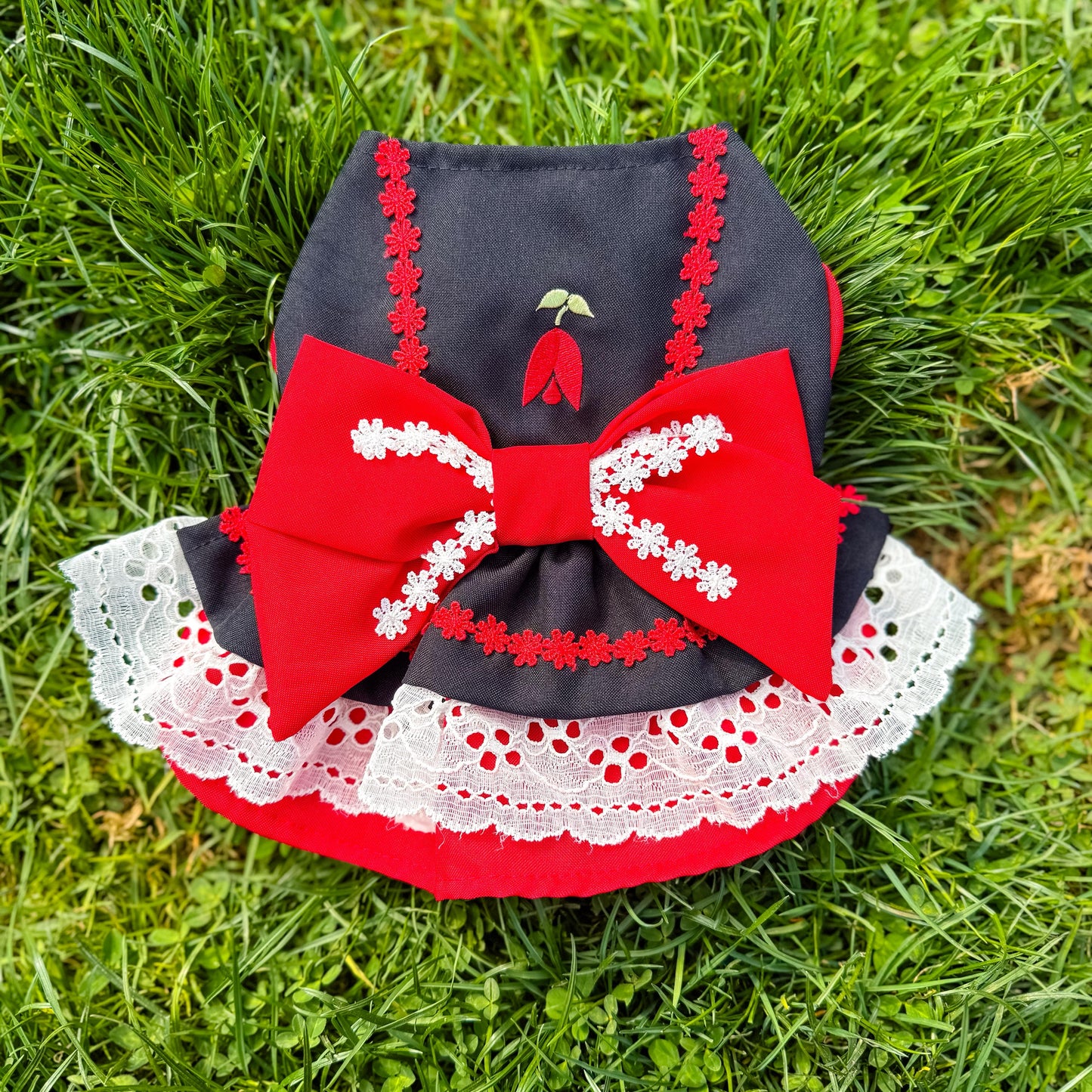 VESTIDO COPIHUE FIESTAS PATRIAS
