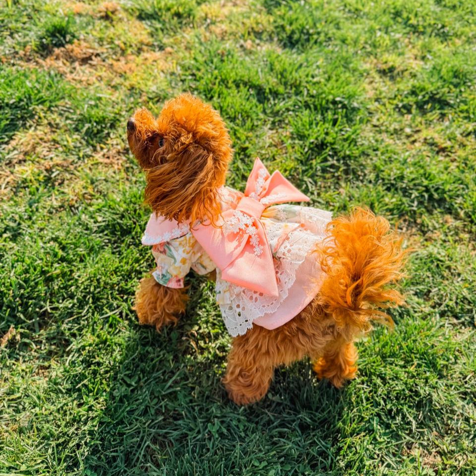 VESTIDO ROSA FIESTAS PATRIAS