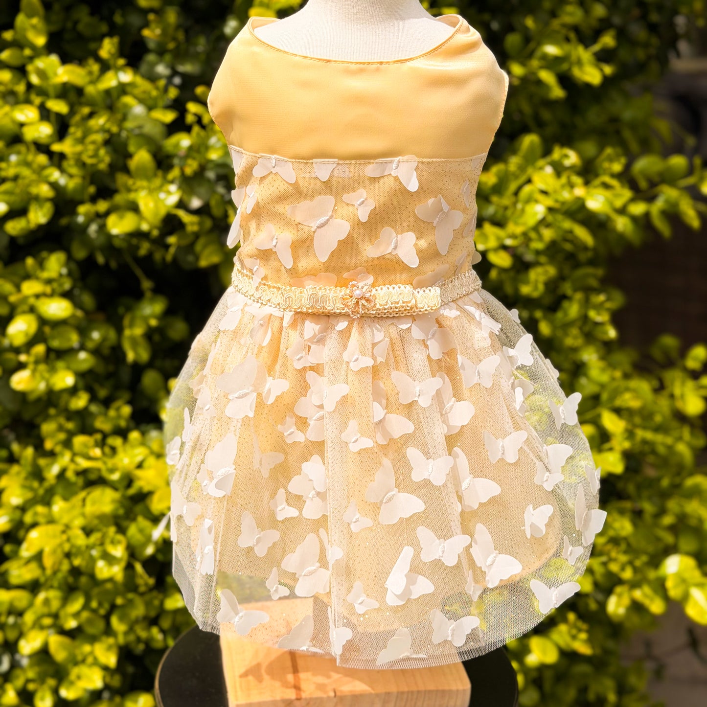 VESTIDO GALA MARIPOSAS