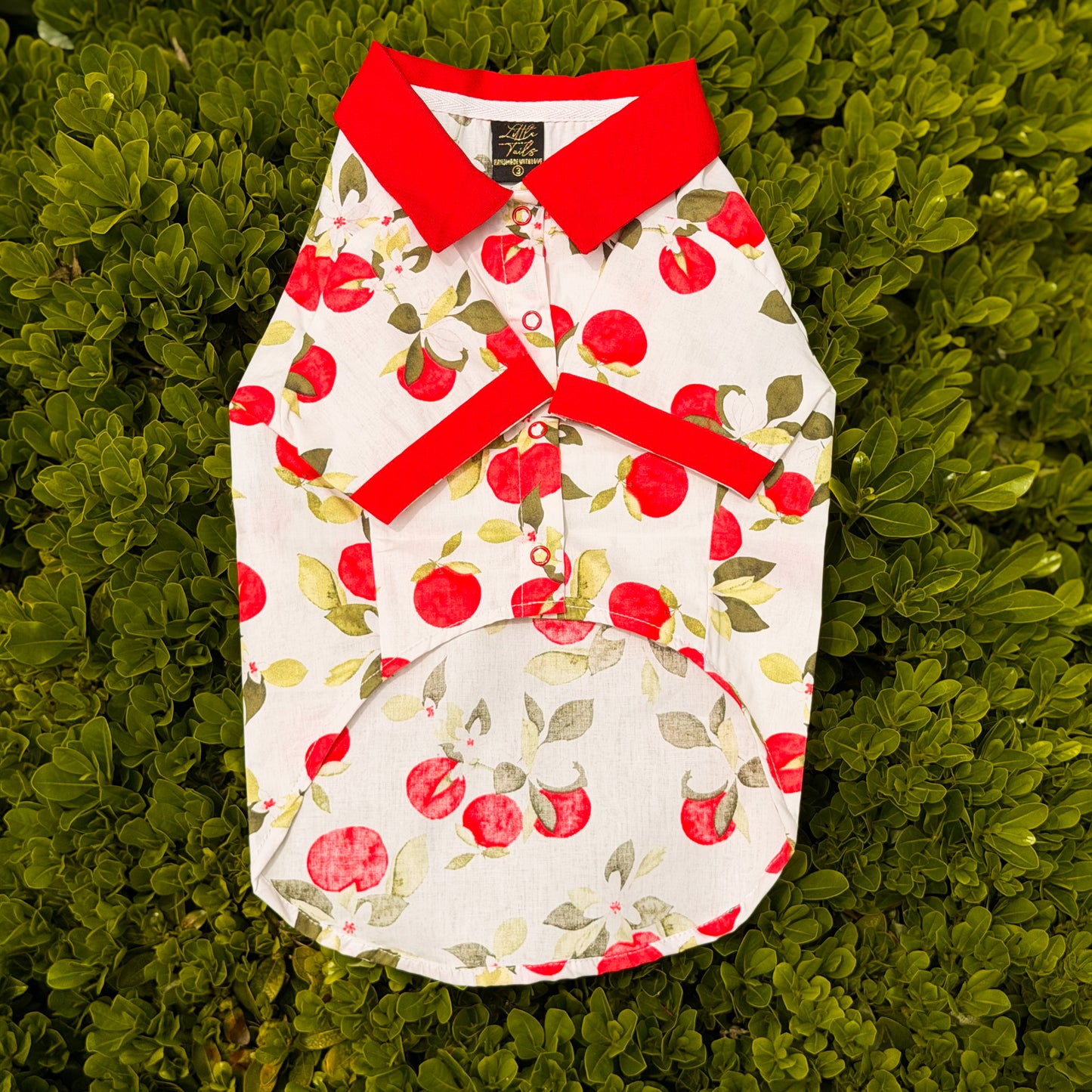 CAMISA MANZANAS