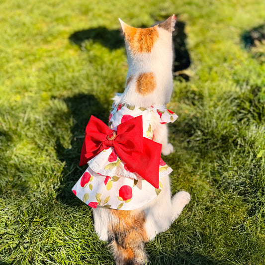 VESTIDO MANZANAS