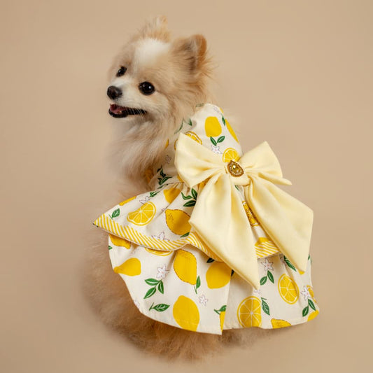 VESTIDO LIMONCELLO