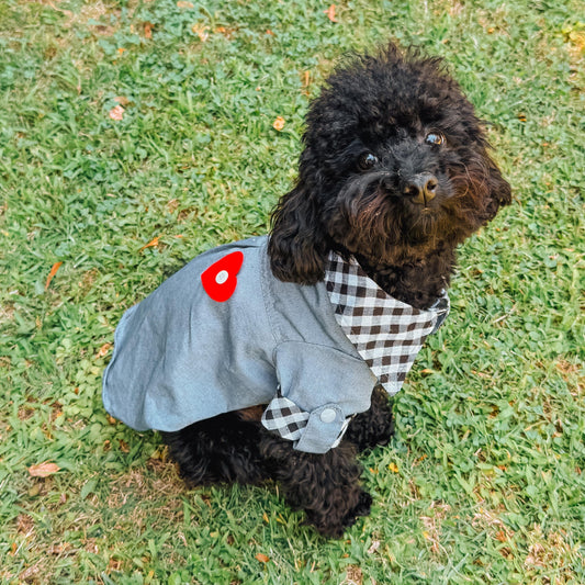 CAMISA CORAZÓN