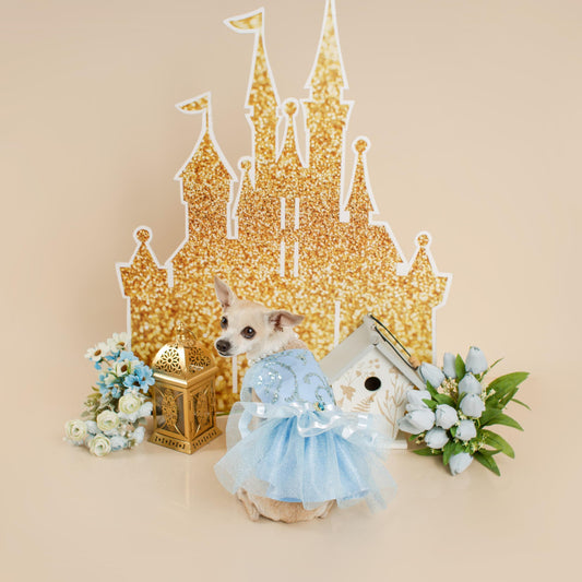 VESTIDO DE PRINCESA CENICIENTA