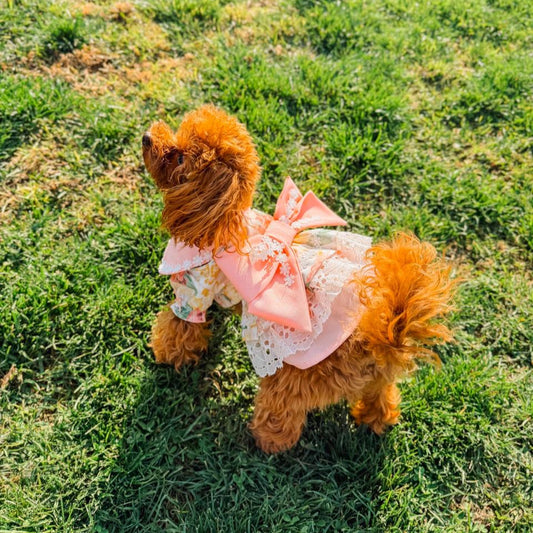 VESTIDO ROSA FIESTAS PATRIAS