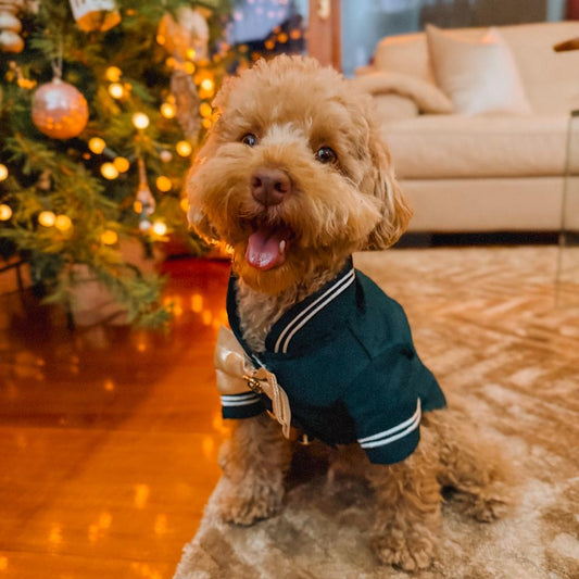 TERNO DE NAVIDAD VERDE