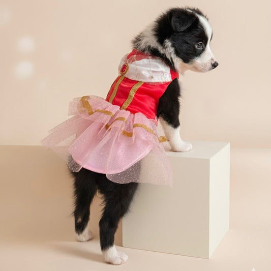 VESTIDO DE PRINCESA AURORA