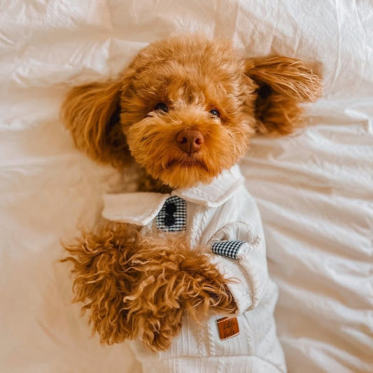 SWEATER PERLA CON CUELLITO