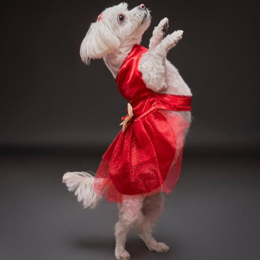 VESTIDO GALA ROJO