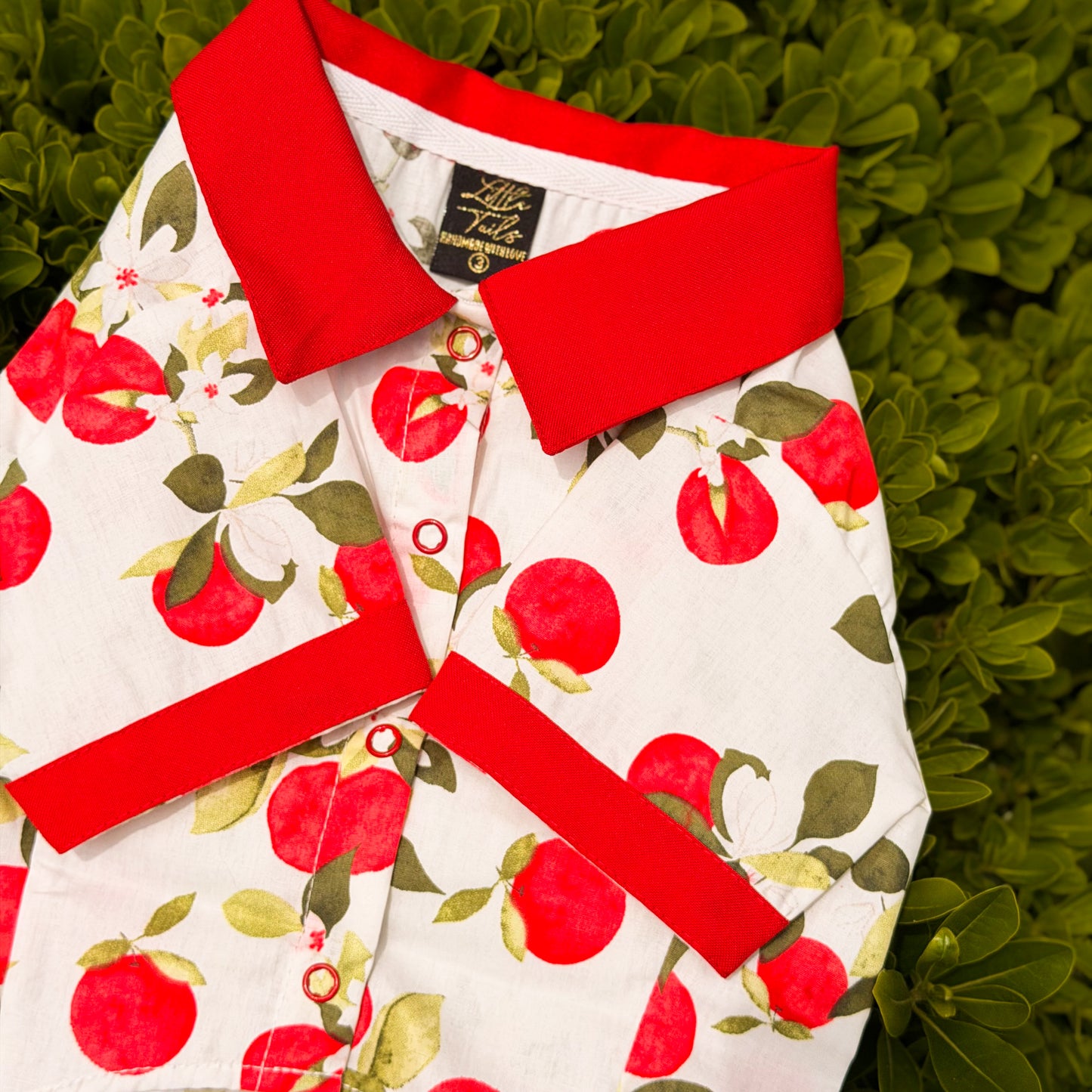 CAMISA MANZANAS